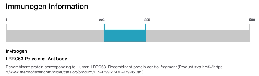 LRRC63 Polyclonal Antibody