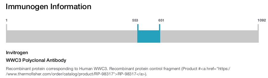 WWC3 Polyclonal Antibody