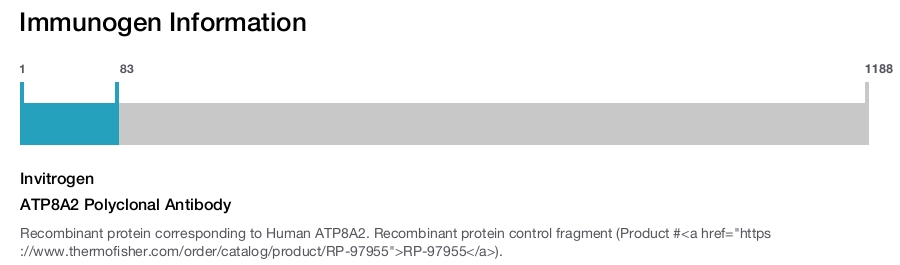 ATP8A2 Polyclonal Antibody
