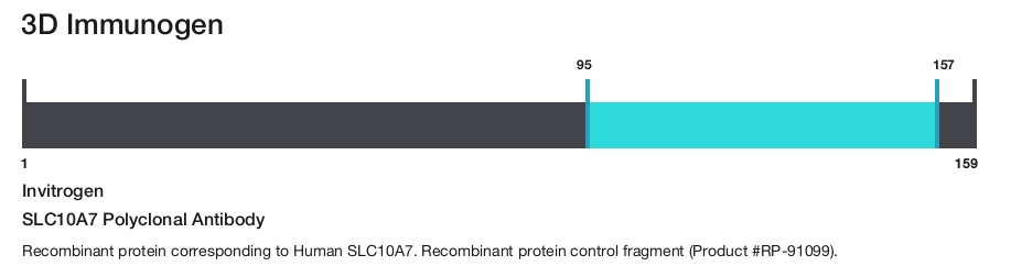 SLC10A7 Polyclonal Antibody