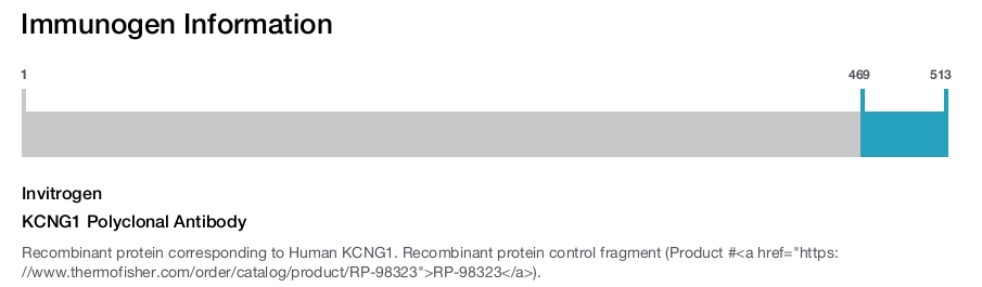 KCNG1 Polyclonal Antibody