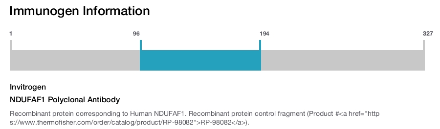 NDUFAF1 Polyclonal Antibody