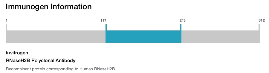 RNaseH2B Polyclonal Antibody