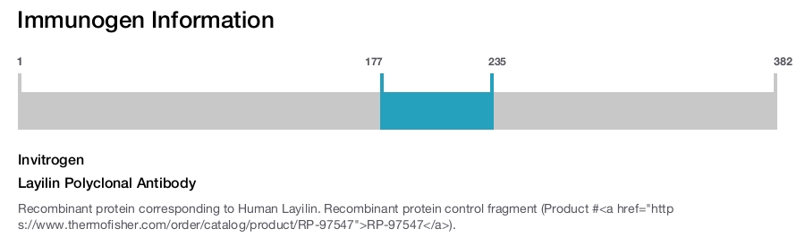 Layilin Polyclonal Antibody