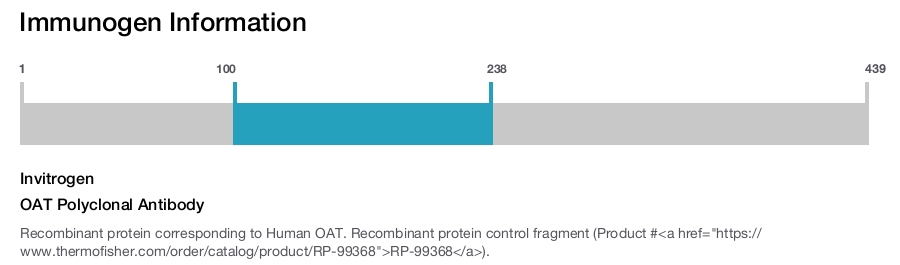 OAT Polyclonal Antibody