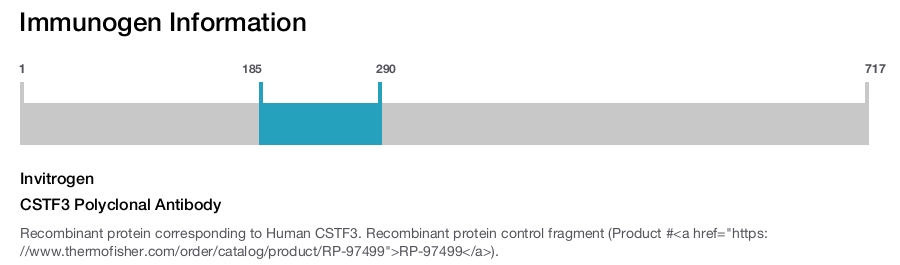 CSTF3 Polyclonal Antibody