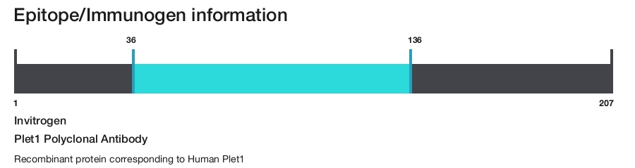 Plet1 Polyclonal Antibody