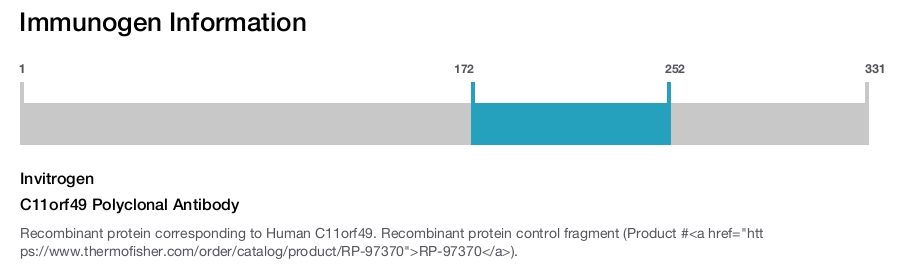 C11orf49 Polyclonal Antibody