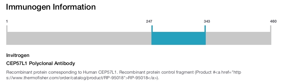 CEP57L1 Polyclonal Antibody