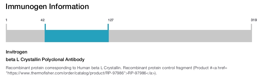 beta L Crystallin Polyclonal Antibody