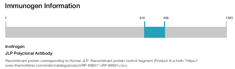 JLP Polyclonal Antibody