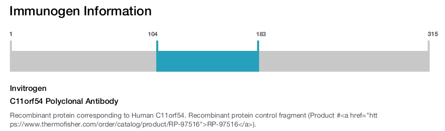 C11orf54 Polyclonal Antibody