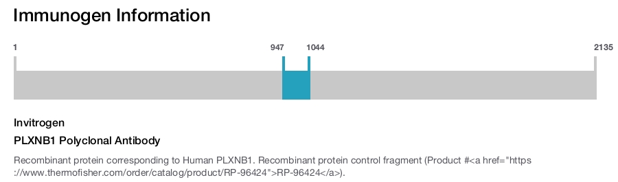 PLXNB1 Polyclonal Antibody
