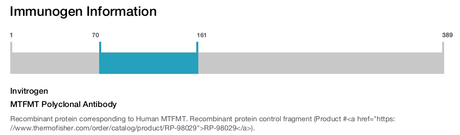 MTFMT Polyclonal Antibody