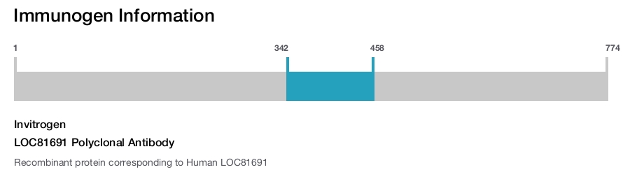 LOC81691 Polyclonal Antibody