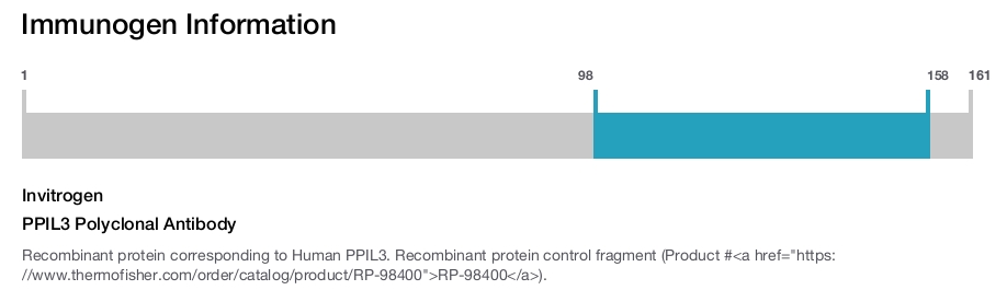 PPIL3 Polyclonal Antibody
