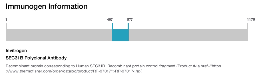 SEC31B Polyclonal Antibody
