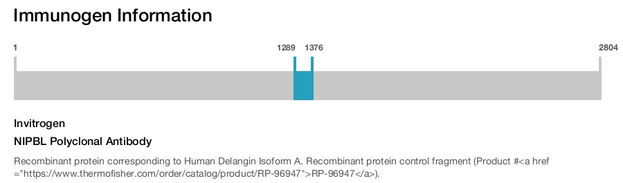 NIPBL Polyclonal Antibody