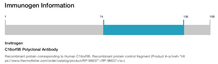 C16orf95 Polyclonal Antibody