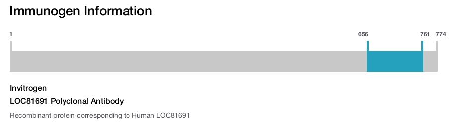 LOC81691 Polyclonal Antibody