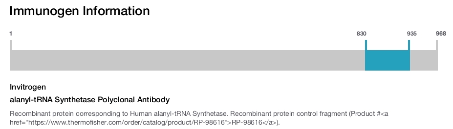 alanyl-tRNA Synthetase Polyclonal Antibody