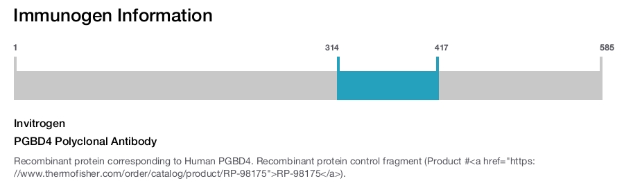 PGBD4 Polyclonal Antibody