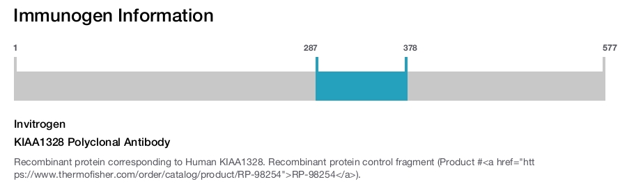 KIAA1328 Polyclonal Antibody