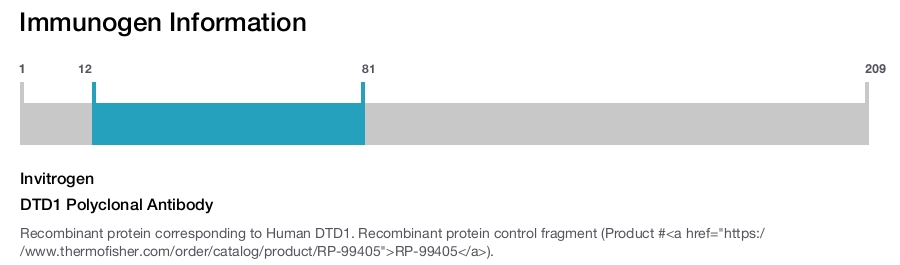 DTD1 Polyclonal Antibody