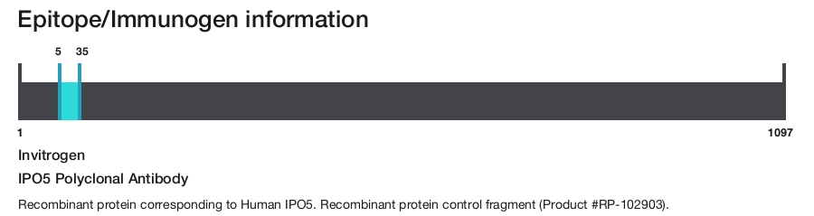 IPO5 Polyclonal Antibody