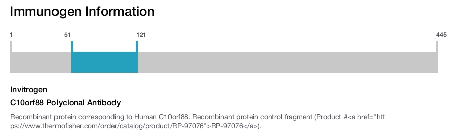 C10orf88 Polyclonal Antibody