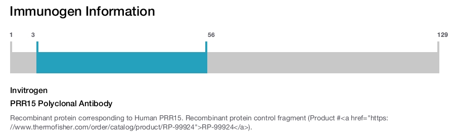 PRR15 Polyclonal Antibody