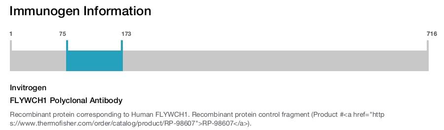 FLYWCH1 Polyclonal Antibody