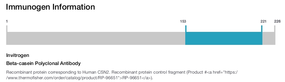 Beta-casein Polyclonal Antibody