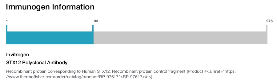 STX12 Polyclonal Antibody