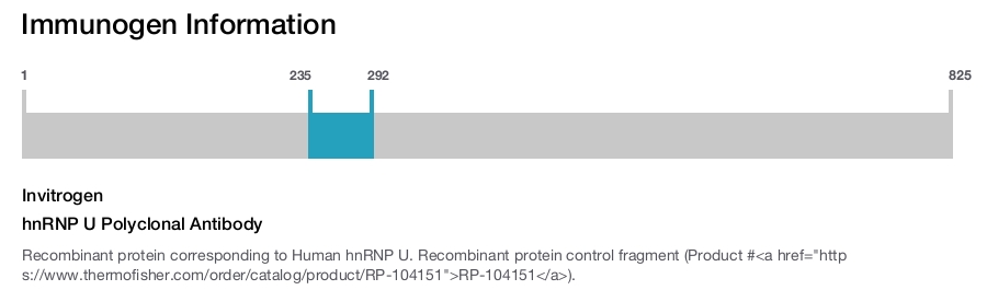 hnRNP U Polyclonal Antibody