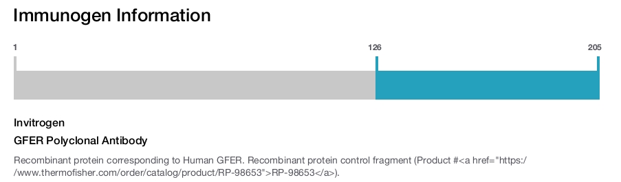 GFER Polyclonal Antibody
