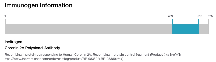 Coronin 2A Polyclonal Antibody