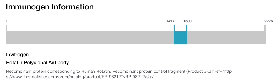 Rotatin Polyclonal Antibody