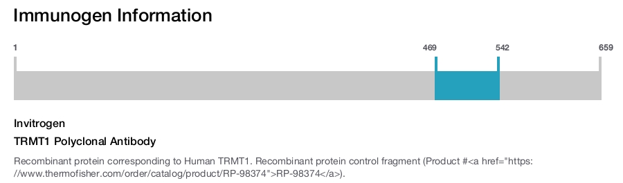 TRMT1 Polyclonal Antibody