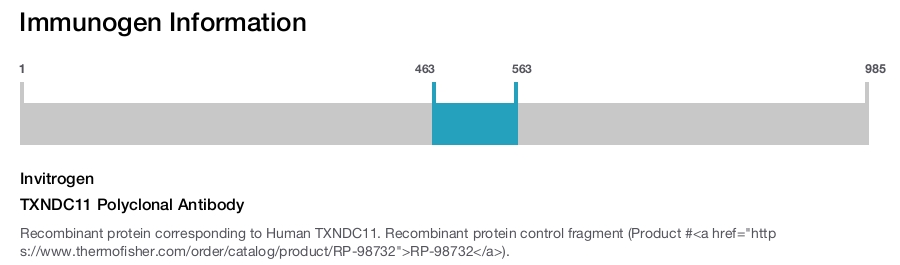 TXNDC11 Polyclonal Antibody