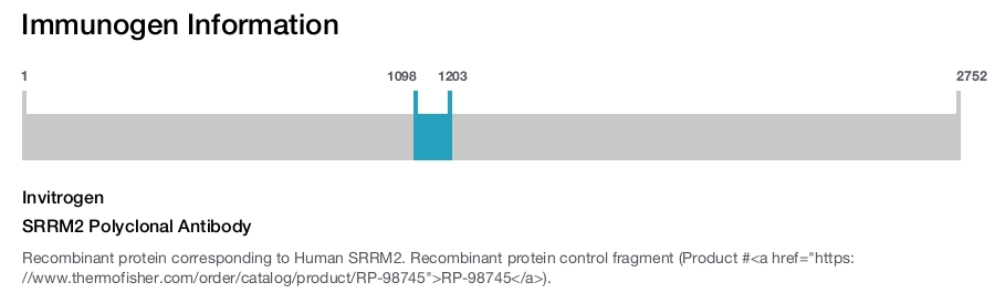 SRRM2 Polyclonal Antibody