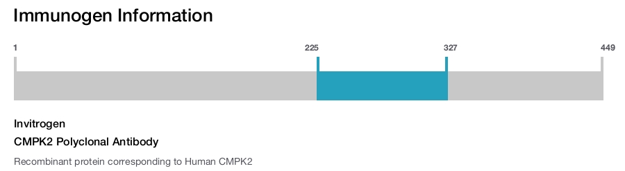 CMPK2 Polyclonal Antibody