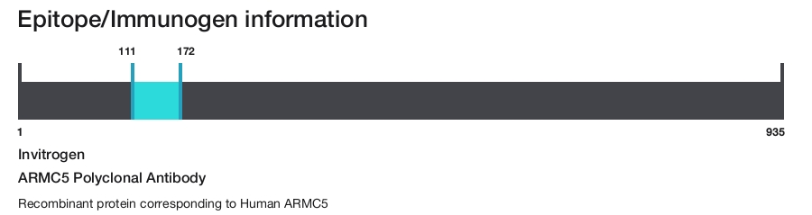 ARMC5 Polyclonal Antibody