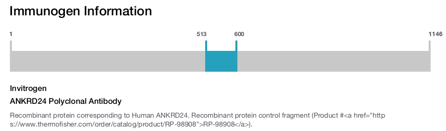 ANKRD24 Polyclonal Antibody