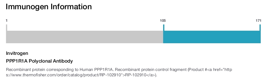 PPP1R1A Polyclonal Antibody