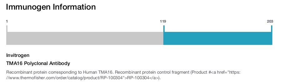 TMA16 Polyclonal Antibody