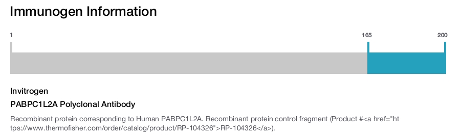 PABPC1L2A Polyclonal Antibody