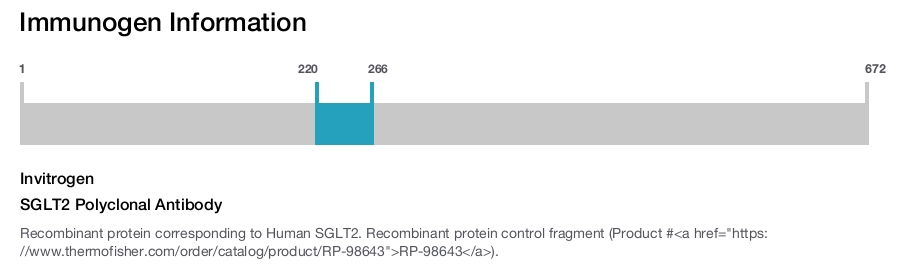 SGLT2 Polyclonal Antibody