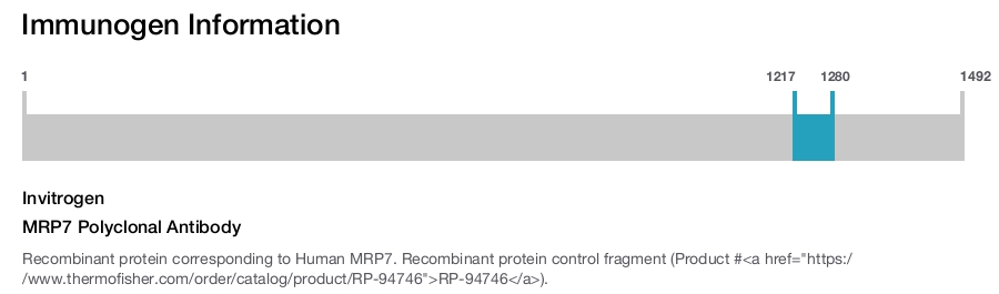 MRP7 Polyclonal Antibody