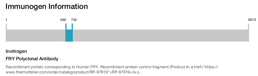 FRY Polyclonal Antibody